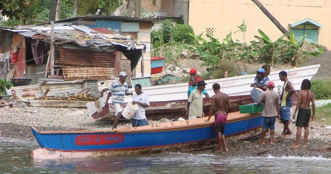 Fishing boat comes in with its catch © BW Media